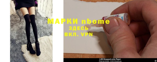 прущие грибы Алзамай