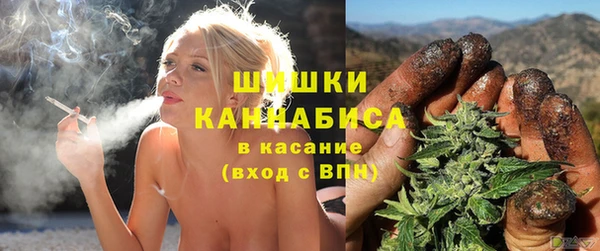 прущие грибы Алзамай