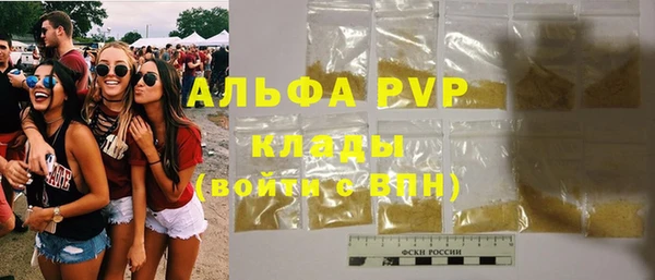 прущие грибы Алзамай