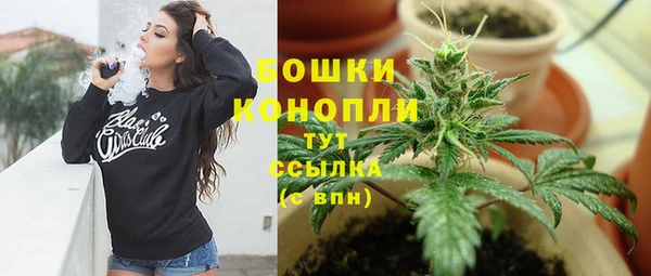 соль ск Рославль